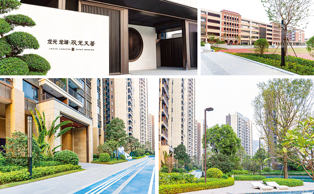 江门龙光龙湖双龙天柱 (2)