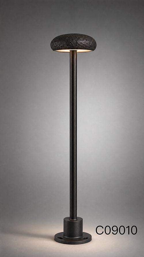 C09010 (2)